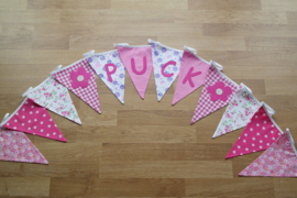 Puck