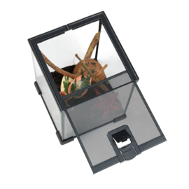Habistat Invertebrate Starter Kit