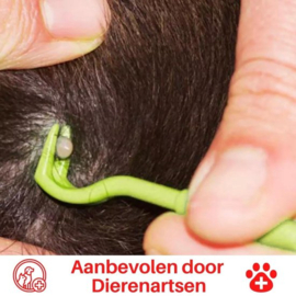 TEKENTANG (BLAUW) KOEVOETJE