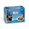 BRIT Pouches Prem.Cat Fillets in Gravy Family Plate 1200 g (12x85 g)