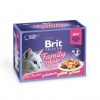 BRIT Pouches Prem.Cat Fillets in Jelly Family Plate 1200 g (12x85 g)