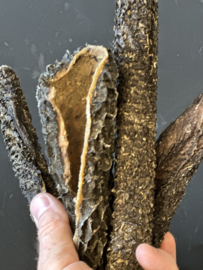 RUNDERPENS 20 cm. (Langzaam gedroogd)500 gram