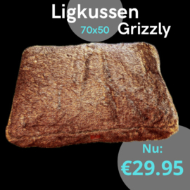 Est 1941’ ligkussen grizzly brown, 70×50 cm.