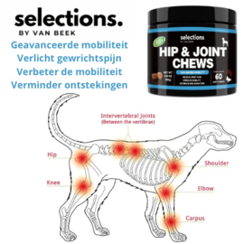 HIP & JOINT CHEWS 60 stuks