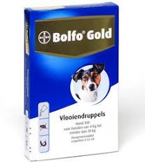 Bolfo gold 100 2 pipetten