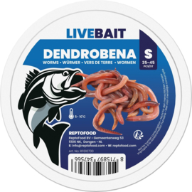 DENDROBENA WORM S 35-45X