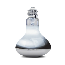 Arcadia 2nd Generation 160W UV Basking Lamp