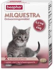 Milquestra kat 0.5 tot 4 kg