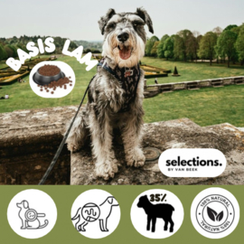 Selections Lam Basis adult-Abonnement op maat