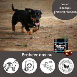 DIGESTIVE CHEWS 60 stuks (Probiotica snoepjes)