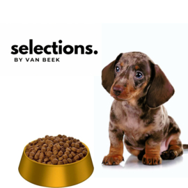 SELECTIONS by Van Beek