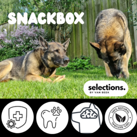 SELECTIONS SNACKBOX-Elke maand een feestje voor jouw hond!