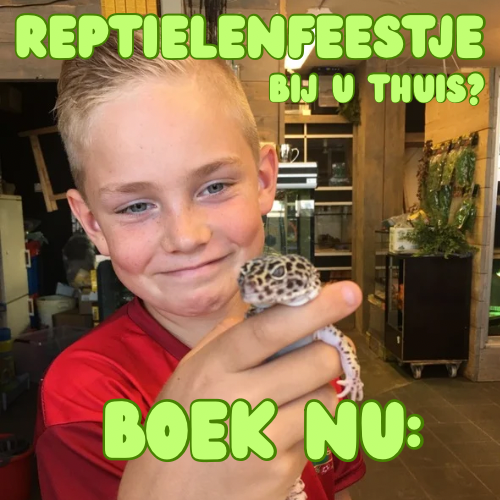 REPTIELENFEESTJE