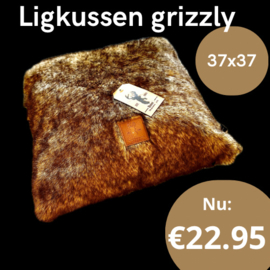 Ligkussen Grizzly 37x37