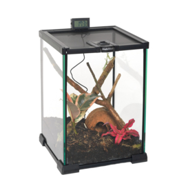 Habistat Invertebrate Starter Kit