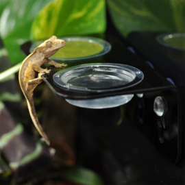 HABISTAT ARBOREAL FEEDING LEDGE