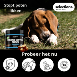 IMMUNESYSTEM CHEWS 60 stuks