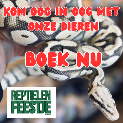 REPTIELENFEESTJE