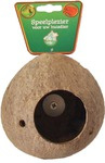 Kokosnoot met schroefdraad.