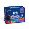 BRIT Pouches Premium Family Plate 12 x 100 gr