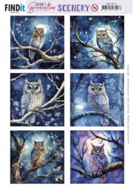 Push-Out Scenery - Berries Beauties - Owl Square BBSC10014