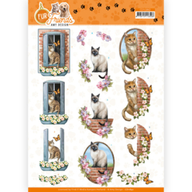 3D Cutting Sheet - Amy Design - Fur Friends - Cat on the Wall CD11842