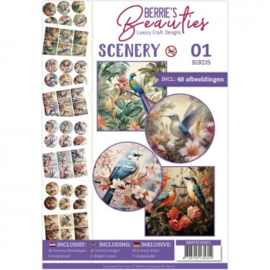Berries Beauties Scenery Book 1 - Birds BBPOS10001