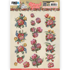 3D Cutting Sheets - Amy Design - Botanical Garden - Red Protea CD11908