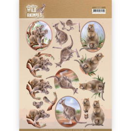 3D Cutting sheet - Amy Design - Wild Animals Outback - Kangaroo CD11483