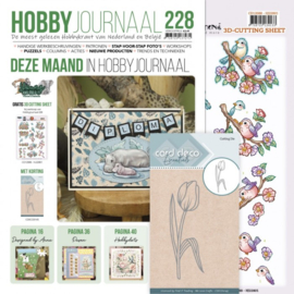 Hobbyjournaal 228 SET met CDECD0145