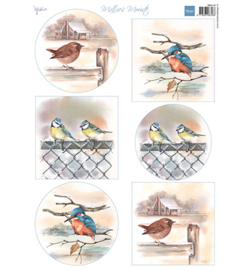 MD MB1097 - Mattie's mooiste Birds in winter