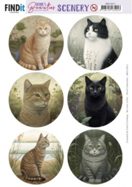 Push-Out Scenery - Berries Beauties -Cats Round BBSC10011