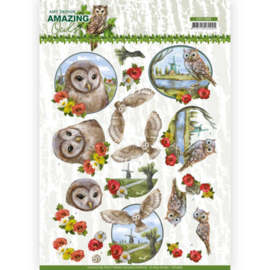 3D Cutting Sheet - Amy Design - Amazing Owls - Meadow Owls CD11565