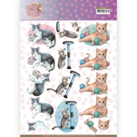 3D Knipvel - Amy Design - Cats World - Playing Cats CD11369