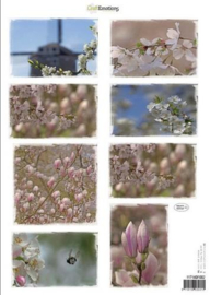 CraftEmotions Knipvellen voorjaarsbloemen 2 roze 117140/1002