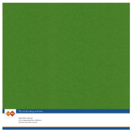 Linen Cardstock - SC - Fern Green 30,5 x 30,5 LKK-SC60