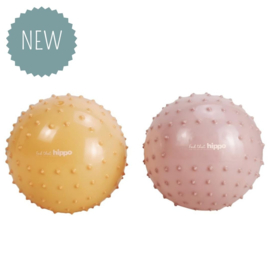 FIND THAT HIPPO | Sensorische ballen roze - 2 st