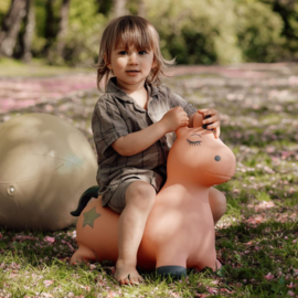 FIND THAT HIPPO | Skippydier eenhoorn
