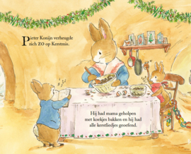 PLOEGSMA | Flapjesboek Pieter Konijn 'Waar zijn de kerstcadeautjes?'