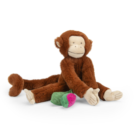 MOULIN ROTY | Activiteitenknuffel aap Mochica - La forêt Mawa