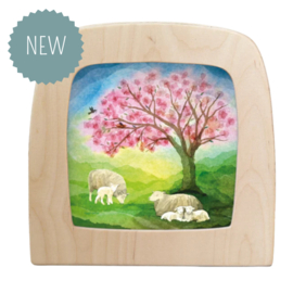 TOVERLUX | Toverplaat lammetjes