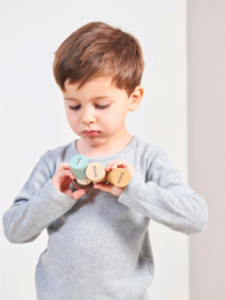 TENDER LEAF TOYS | Taxi bosdieren