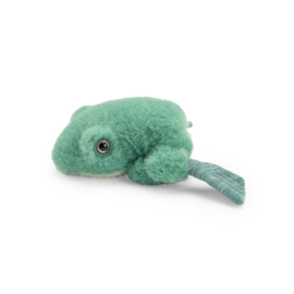 MOULIN ROTY | Knuffel kikker -Tout autour du monde - 13 cm