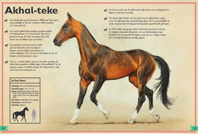 UITGEVERIJ GOTTMER | Het allermooiste boek over paarden