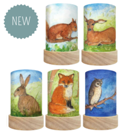 TOVERLUX | Lantaarn silhouet bosdieren - 5 st