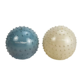 FIND THAT HIPPO | Sensorische ballen blauw - 2 st