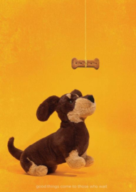 JELLYCAT | Knuffel Teckel Hond - Otto Sausage Dog - 13 x 17 cm