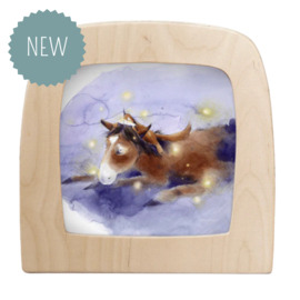 TOVERLUX | Toverplaat vuurvliegjes