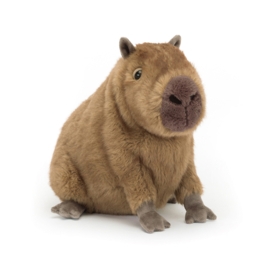 JELLYCAT | Knuffel Capybara Clyde - 24 x 21 cm