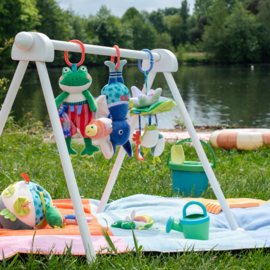 MOULIN ROTY |  Activiteitenspeeltje kikker - La mara aux grenouilles